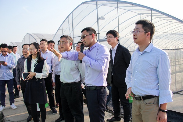 王主任一行關注托普云農智能標準化產品:棚聯網 王主任一行關注托普云農智能標準化產品:棚聯網