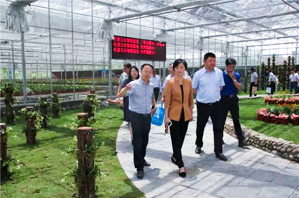 托普云農副總經理朱旭華給參會領導介紹智慧農業