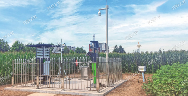 實(shí)時(shí)采集制種基地農(nóng)情、墑情、病情、蟲情數(shù)據(jù)信息